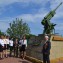 Автопробег Кубаньэнерго по маршруту "Сочи-Туапсе"