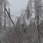 Ликвидация последствий ледяного дождя в электросетевом комплексе Кубани, январь 2014 год