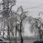 Ликвидация последствий ледяного дождя в электросетевом комплексе Кубани, январь 2014 год