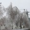 Ликвидация последствий ледяного дождя в электросетевом комплексе Кубани, январь 2014 год