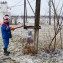 Ликвидация последствий ледяного дождя в электросетевом комплексе Кубани, январь 2014 год