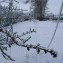 Новопокровский район распределительных электрических сетей филиала ОАО «Кубаньэнерго» Тихорецкие электрические сети, декабрь 2010 год (восстановление энергоснабжения, нарушенного обледенением и порывистым ветром)