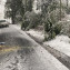 PHOTO-2021-02-19-13-53-08