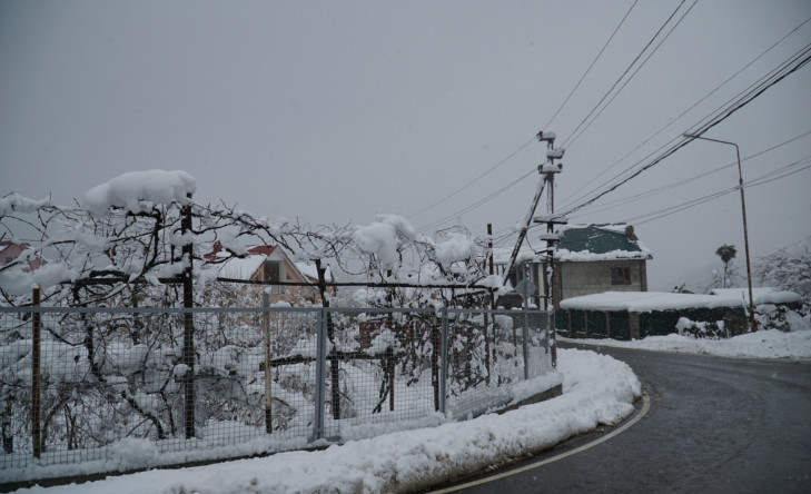 DSC06661